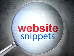 websnips